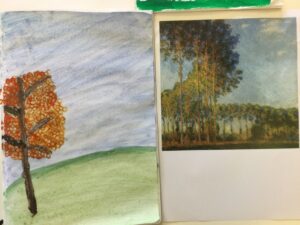 Term 4 Week 5