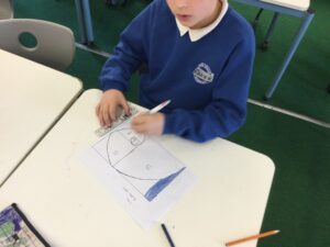 Term 5 Week 4