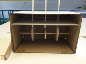 Term 6 Week 7