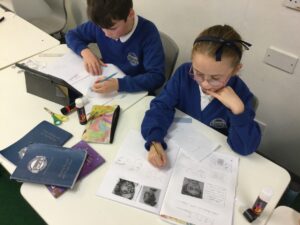 Term 2 Week 4