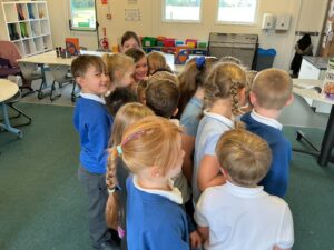 Term 1- Week 2