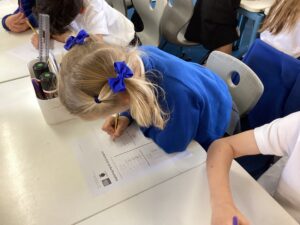 Term 1 Week 2