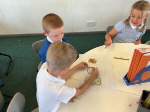 Term 1- Week 2