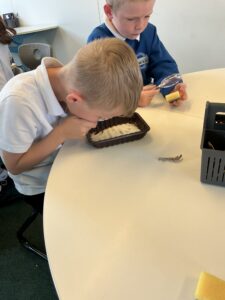 Term 1- Week 4