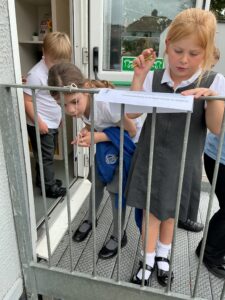Term 1- Week 5