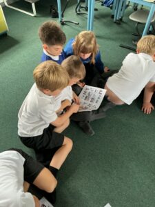 Term 1- Week 6