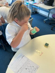Term 1- Week 4