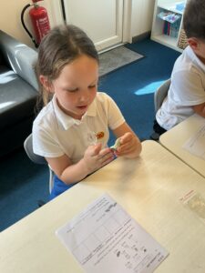 Term 1- Week 4