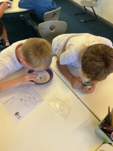 Term 1- Week 4