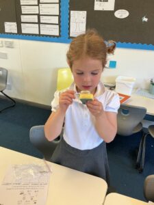 Term 1- Week 4