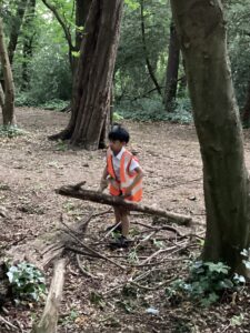 Term 5 Week 4