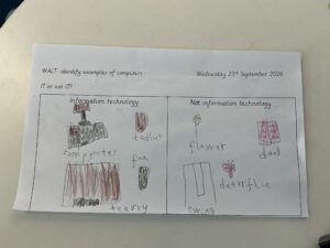 Term 1- Week 5