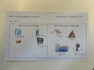 Term 1- Week 5