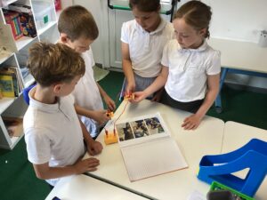 Term 6 Week 3