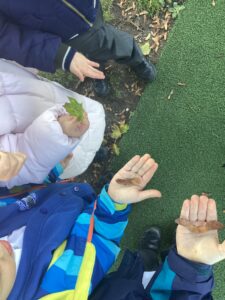 Term 1 Week 7