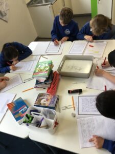 Term 4 Week 6