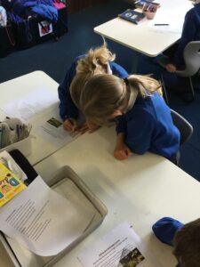 Term 6 Week 2