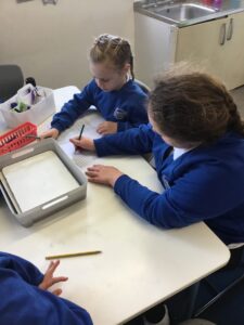 Term 6 Week 2