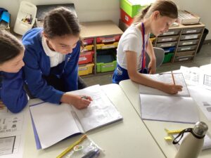 Term 6 Week 2