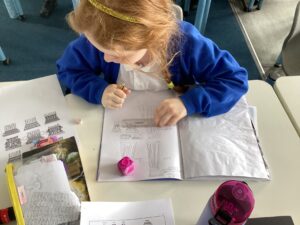 Term 6 Week 2