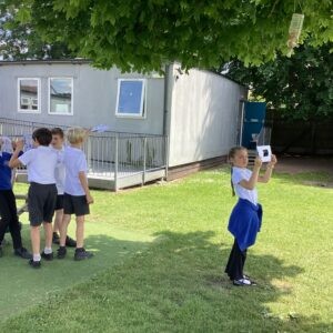 Term 6 Week 2