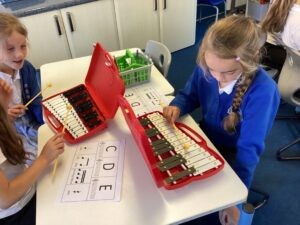 Term 6 week 3