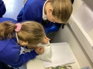 Term 1, Week 3