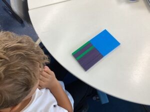 Term 1, Week 3