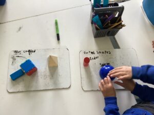Term 5 Week 4