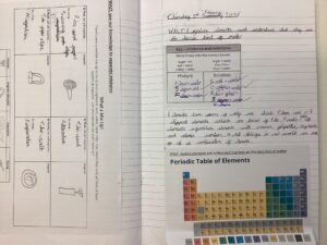 Term 3 Week 5