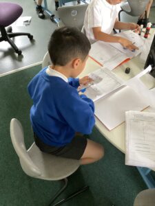 Term 6 Week 1