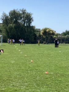Term 6 Week 2