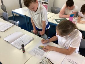 Term 5 Week 2
