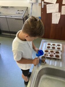 Term 6 Week 7