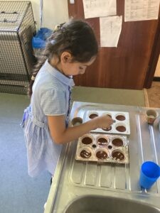 Term 6 Week 7