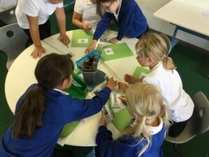 Term 1, Week 3