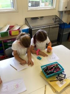 Term 1 Week 2