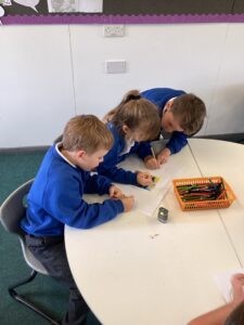 Term 1 Week 3