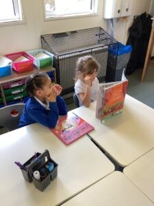 Term 1 Week 4