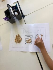 Term 1 Week 3