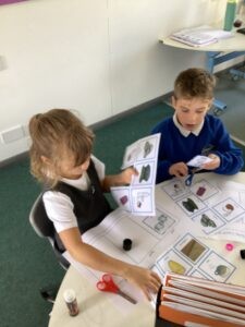 Term 1 Week 4