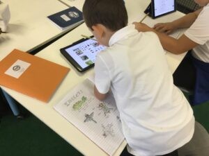 Term 1 Week 5