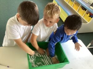 Term 1 Week 6