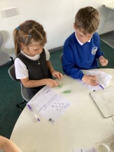 Term 1 Week 6
