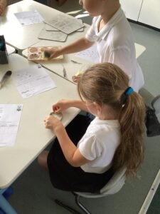 Term 1 Week 6