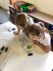 Term 1 Week 8