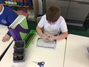 Term 2 Week 3