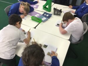 Term 2 Week 5