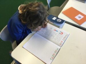 Term 2 Week 6