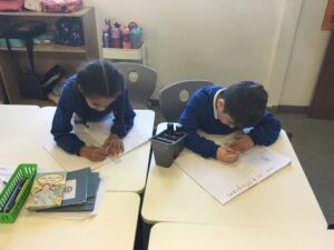 Term 2 Week 6